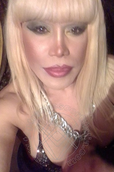 Foto selfie 634 di Nicole Vip Venturiny transescort Milano