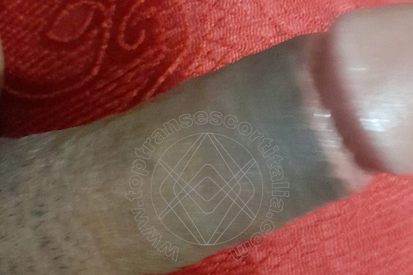 Foto selfie hot 4 di Tainá Oliveira transescort Prato