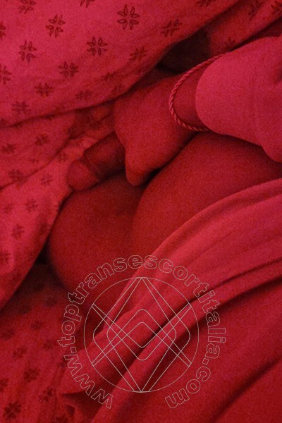 Foto selfie hot 9 di Mishele transescort Milano