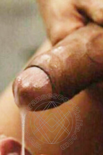 Foto selfie hot 2 di Kimon Cat transescort Termoli