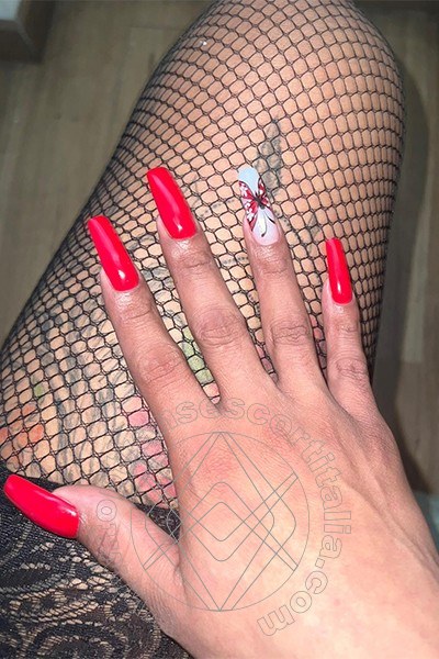 Foto selfie 20 di Bruna Menegassy transescort Reggio Calabria