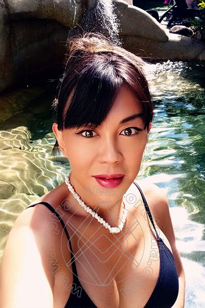 Foto selfie 17 di Vanessa Midori transescort Marina Di Montemarciano
