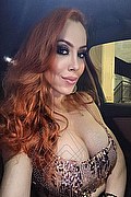 Foto selfie 1 di Giselly Kherllakian transescort Colonnella