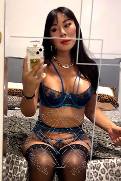 Foto selfie 12 di Vanessa Midori transescort Marina Di Montemarciano