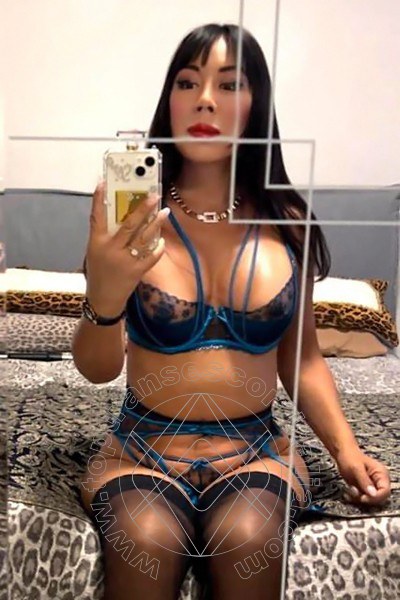 Foto selfie 11 di Vanessa Midori transescort Marina Di Montemarciano