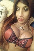  Recife Sabry 0055.81995397865 foto selfie 26