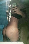  Recife Sabry 0055.81995397865 foto selfie 30