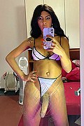 Foto selfie hot 2 di Vick Campana transescort Roma