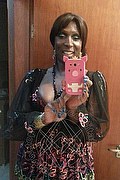 Foto selfie di Serena Xl transescort Malnate