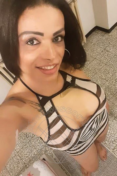 Foto selfie 5 di Beatryz transescort Torino