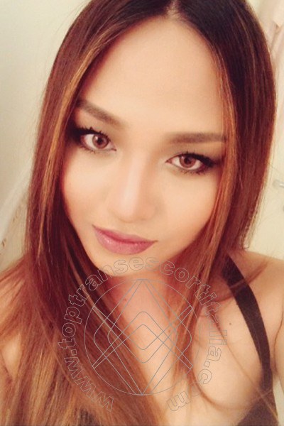 Foto selfie 68 di Katrina Asiatica transescort Milano