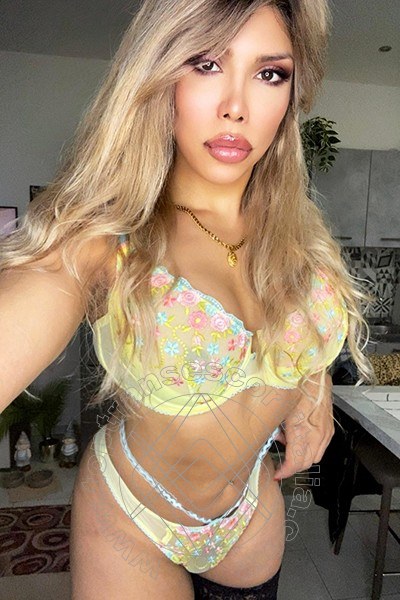 Foto selfie 51 di Karina Becker transescort Bologna