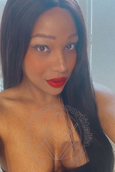 Foto selfie 86 di Adriana transescort Napoli