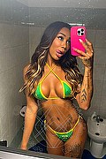 Foto selfie 2 di Kelly Rios transescort Alba adriatica
