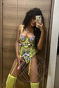 Foto selfie hot 2 di Miele transescort Como
