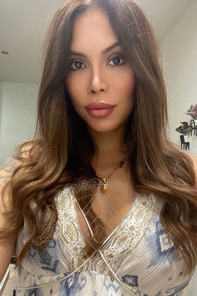 Foto selfie 49 di Karina Becker transescort Bologna