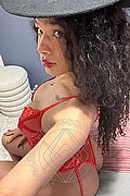 Foto selfie 1 di Miele transescort Como