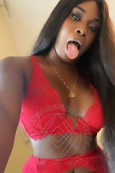 Foto selfie 14 di Paloma TerzaGamba transescort Caserta