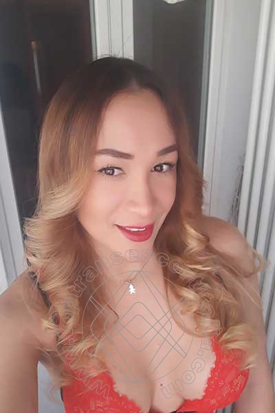 Foto selfie 73 di Gabriella Novita' transescort Eboli