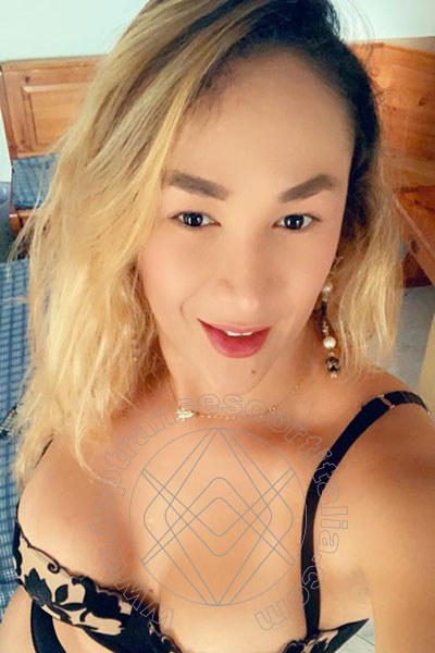 Foto selfie 67 di Gabriella Novita' transescort Eboli