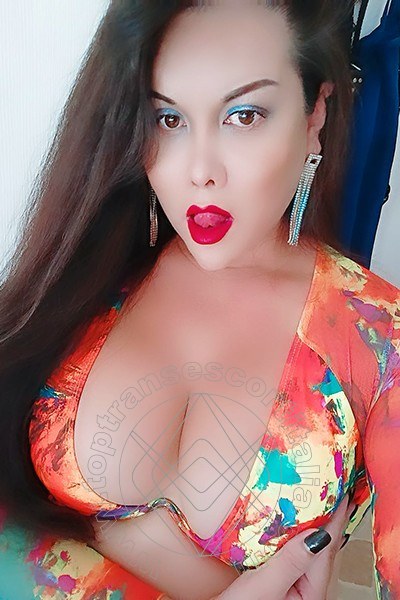 Foto selfie 4 di Barbarita transescort Cinisello Balsamo