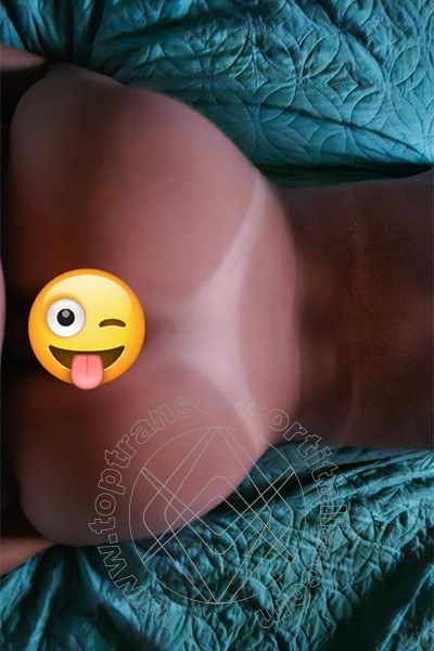 Foto selfie hot 1 di Aisha transescort Genova