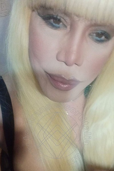 Foto selfie 459 di Nicole Vip Venturiny transescort Milano
