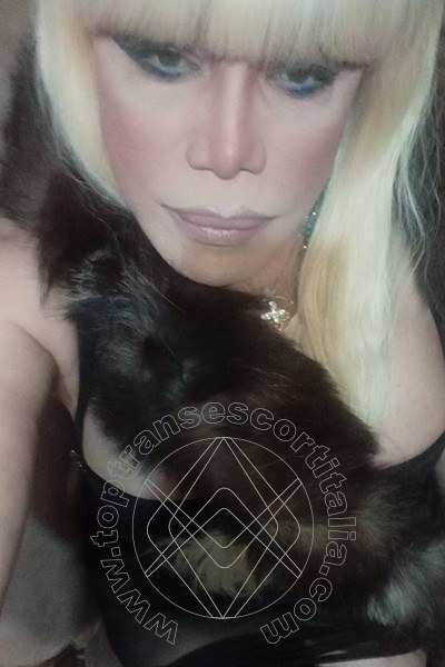 Foto selfie 439 di Nicole Vip Venturiny transescort Milano