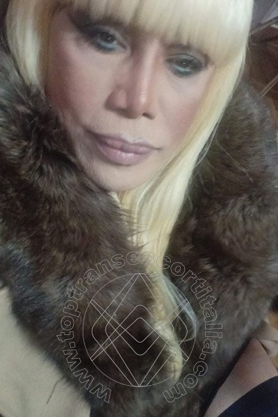 Foto selfie 409 di Nicole Vip Venturiny transescort Milano