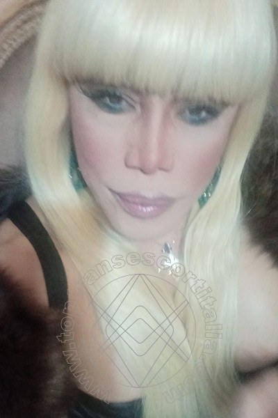 Foto selfie 382 di Nicole Vip Venturiny transescort Milano