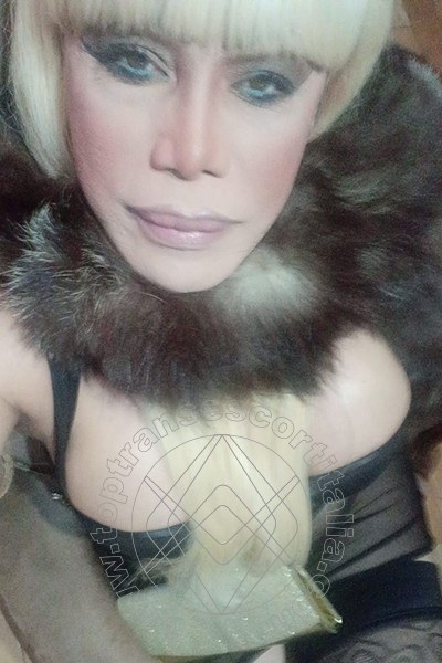 Foto selfie 377 di Nicole Vip Venturiny transescort Milano