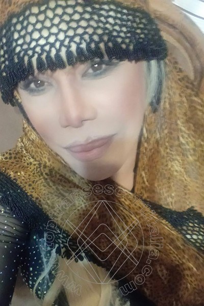 Foto selfie 338 di Nicole Vip Venturiny transescort Milano