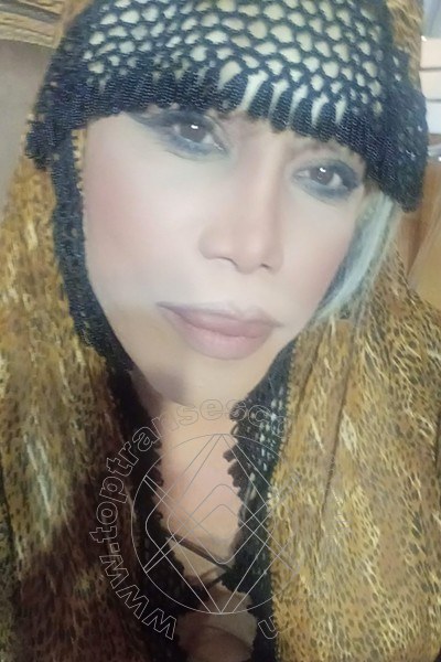 Foto selfie 331 di Nicole Vip Venturiny transescort Milano