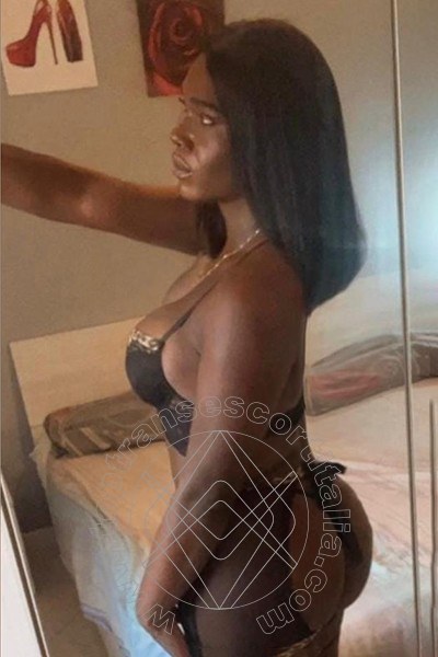 Foto selfie 13 di Paloma TerzaGamba transescort Caserta