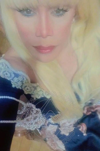 Foto selfie 266 di Nicole Vip Venturiny transescort Milano