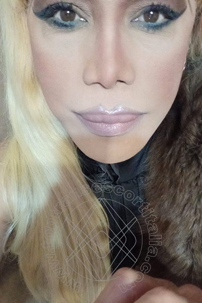 Foto selfie 257 di Nicole Vip Venturiny transescort Milano