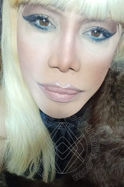 Foto selfie 256 di Nicole Vip Venturiny transescort Milano