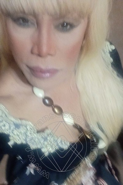 Foto selfie 255 di Nicole Vip Venturiny transescort Milano