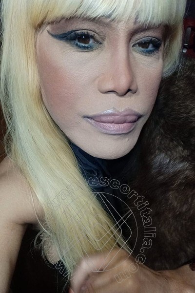 Foto selfie 254 di Nicole Vip Venturiny transescort Milano