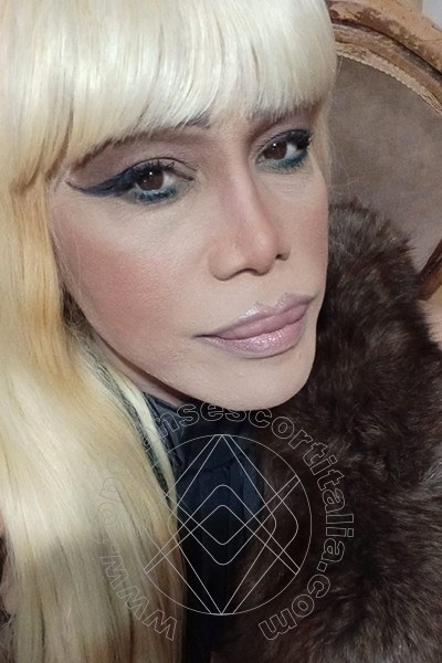 Foto selfie 242 di Nicole Vip Venturiny transescort Milano