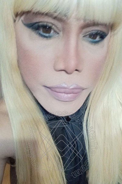 Foto selfie 234 di Nicole Vip Venturiny transescort Milano