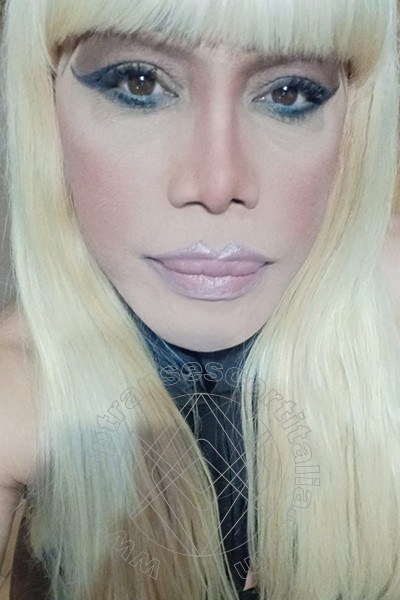 Foto selfie 221 di Nicole Vip Venturiny transescort Milano