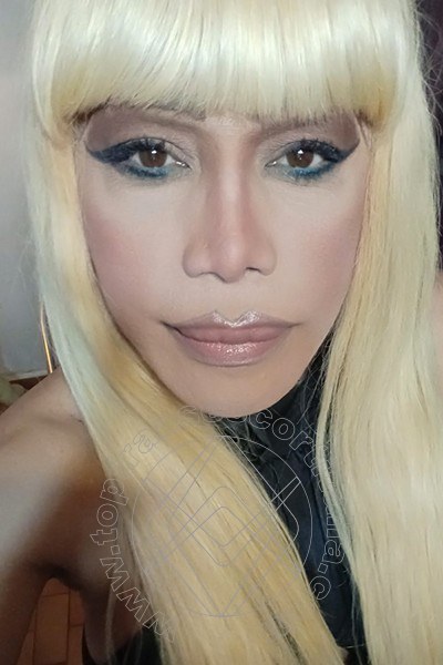 Foto selfie 186 di Nicole Vip Venturiny transescort Milano