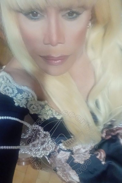 Foto selfie 185 di Nicole Vip Venturiny transescort Milano