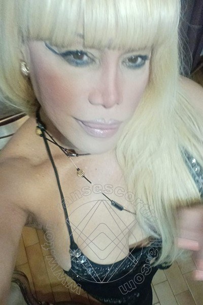 Foto selfie 154 di Nicole Vip Venturiny transescort Milano