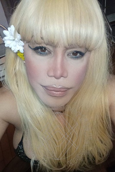 Foto selfie 123 di Nicole Vip Venturiny transescort Milano