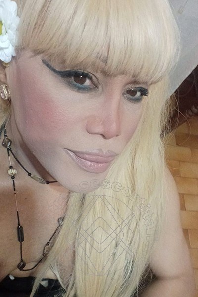 Foto selfie 116 di Nicole Vip Venturiny transescort Milano