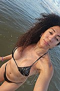 Foto selfie 2 di Amanda Ferre' transescort Torino