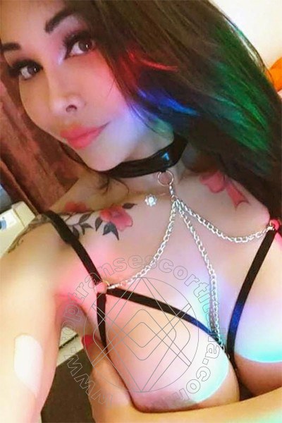 Foto selfie 4 di Dana transescort Kriens
