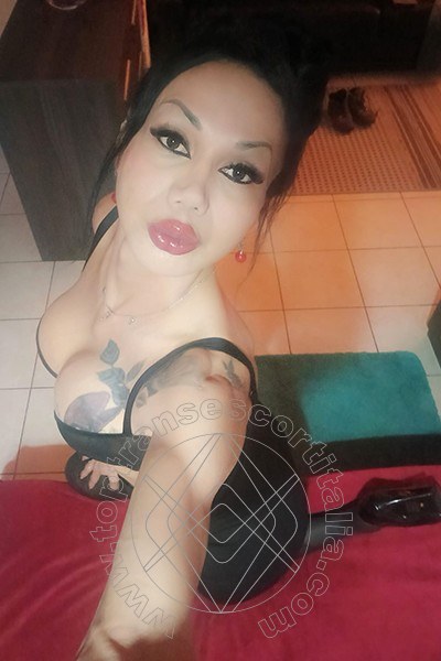 Foto selfie 11 di Adriana Paulett transescort Paese